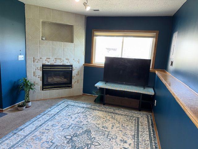 Spacious lower level Family Room features Ceramic Tiled Fireplace (has not been used), and Ceramic Tiled floor under carpet.