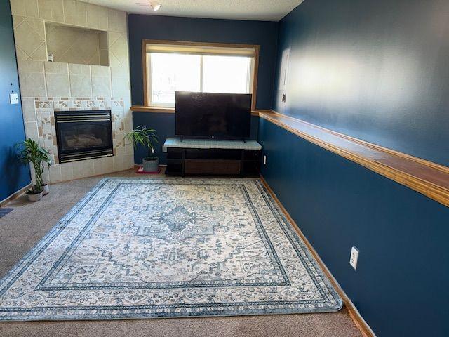 Finished Family Room