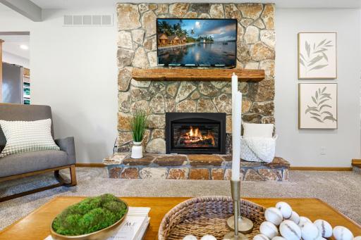 Stone surround and wood hearth for your TV.