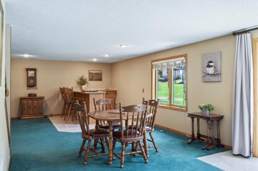 Sunfilled basement with an abundance of natural light