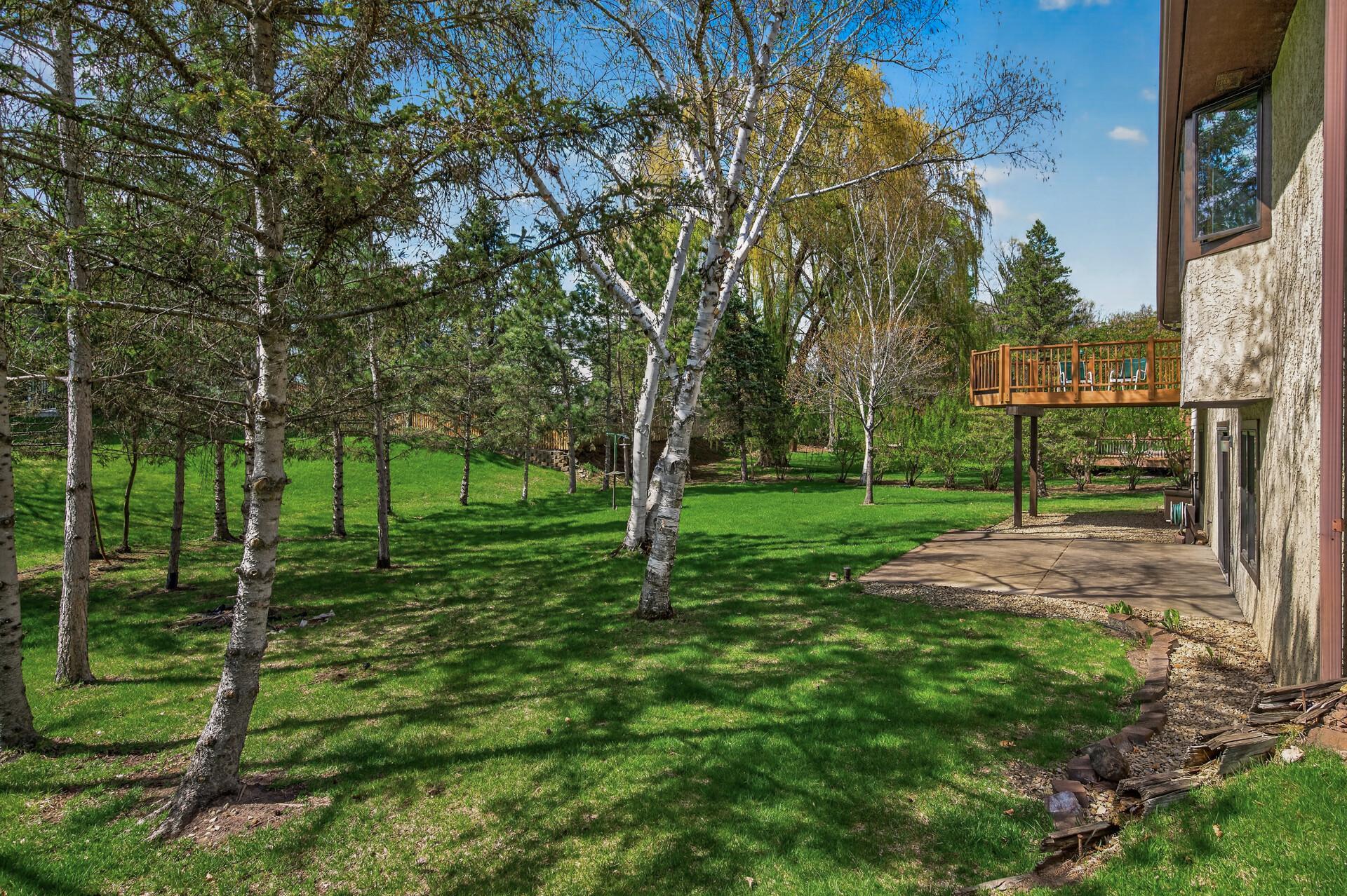 Beautiful backyard with plenty of trees for coverage