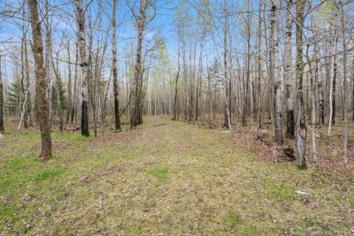 6046 Koller Road, Cotton, MN 55724