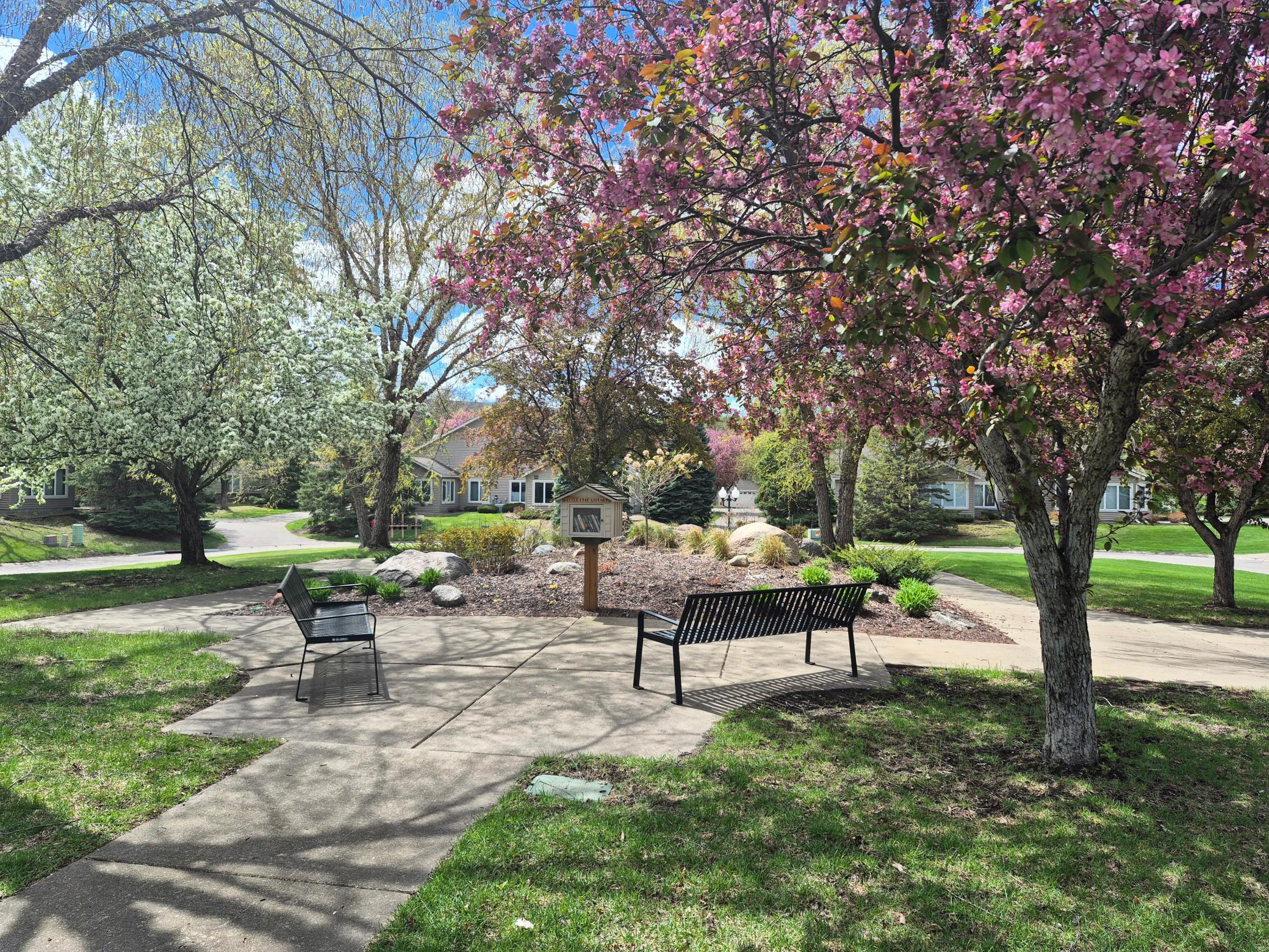 Park Area Across The Street