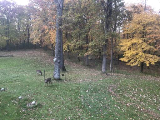 15865 Quality Trail N, Scandia, MN 55073