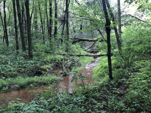 15865 Quality Trail N, Scandia, MN 55073