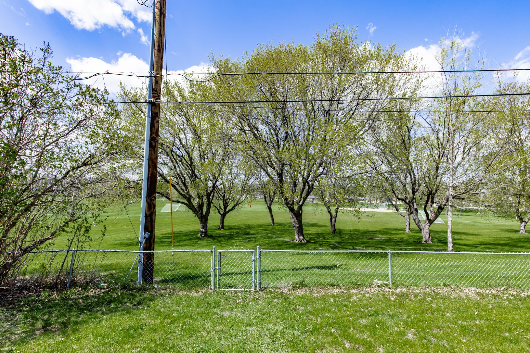 View of Elephant Park