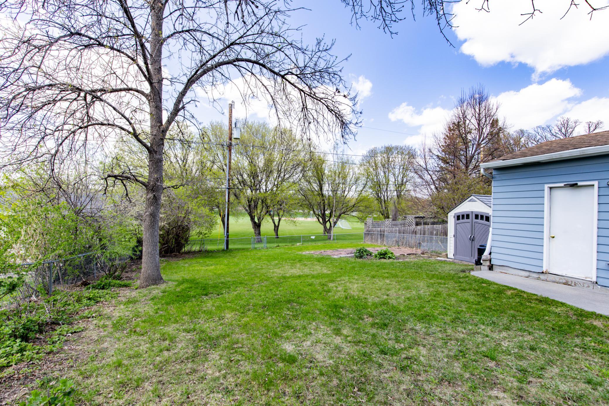 Backyard