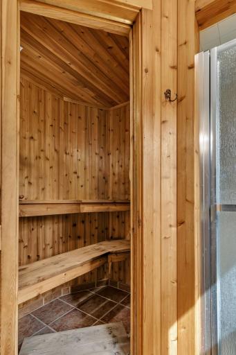 A look at the sauna within the basement bathroom.
