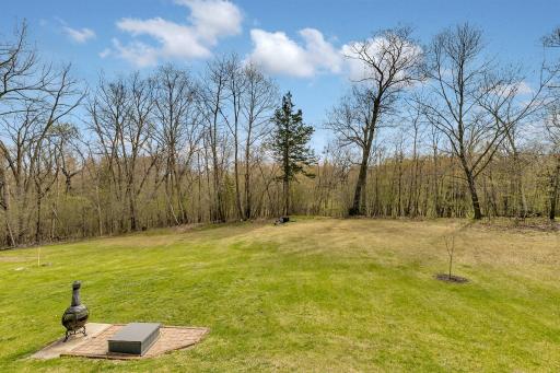 View towards the property line. The property line goes just into the tree line. Large open spaces.