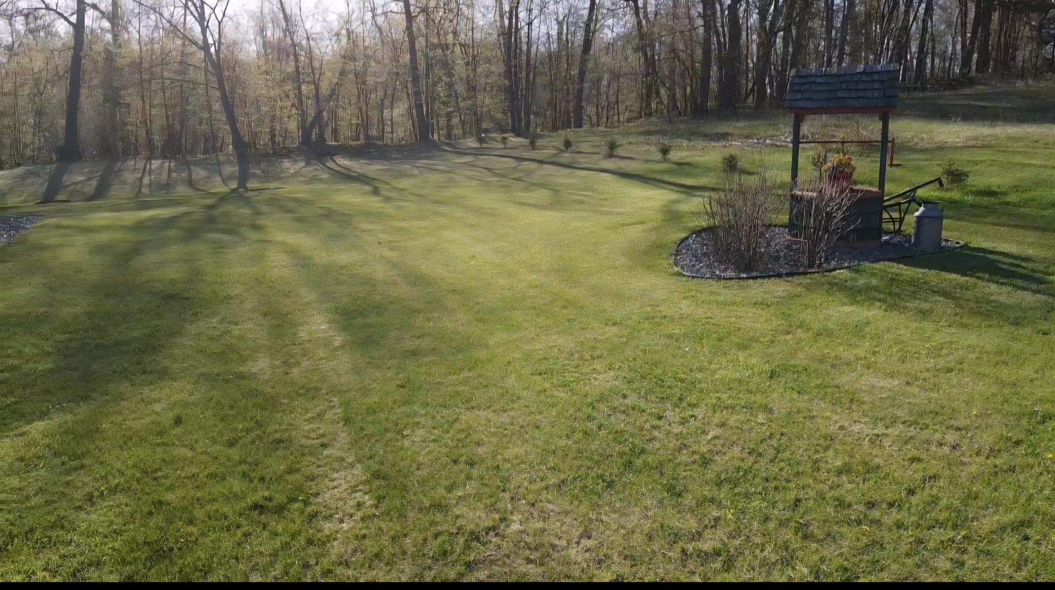 Side yard is spacious. The property line is just beyond the wishing well.
