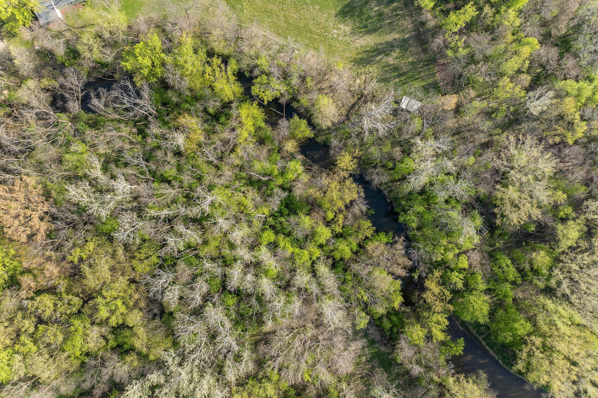 Aeriel View of Center Creek