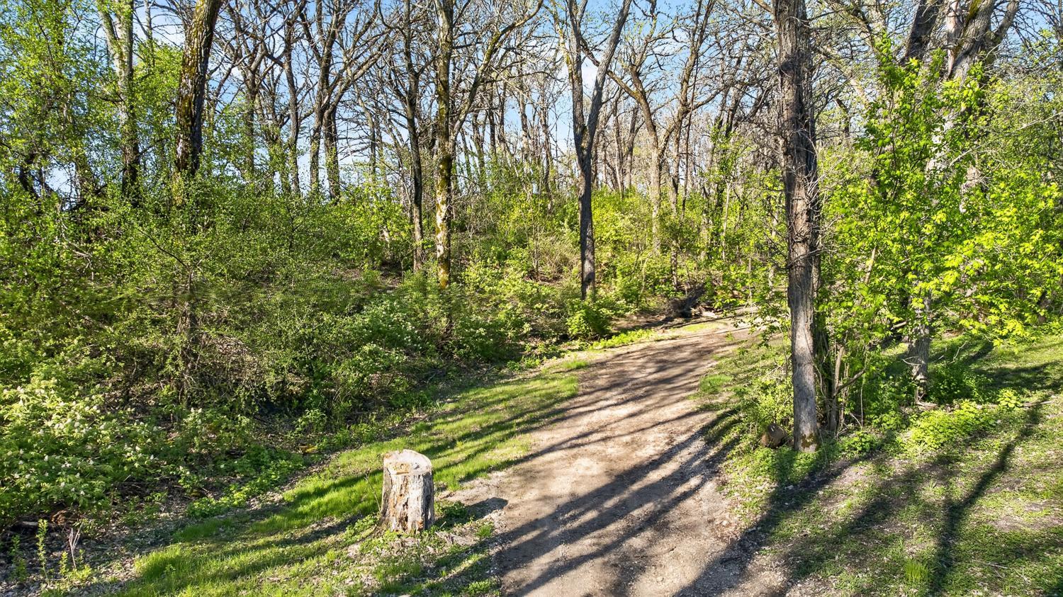 Trail