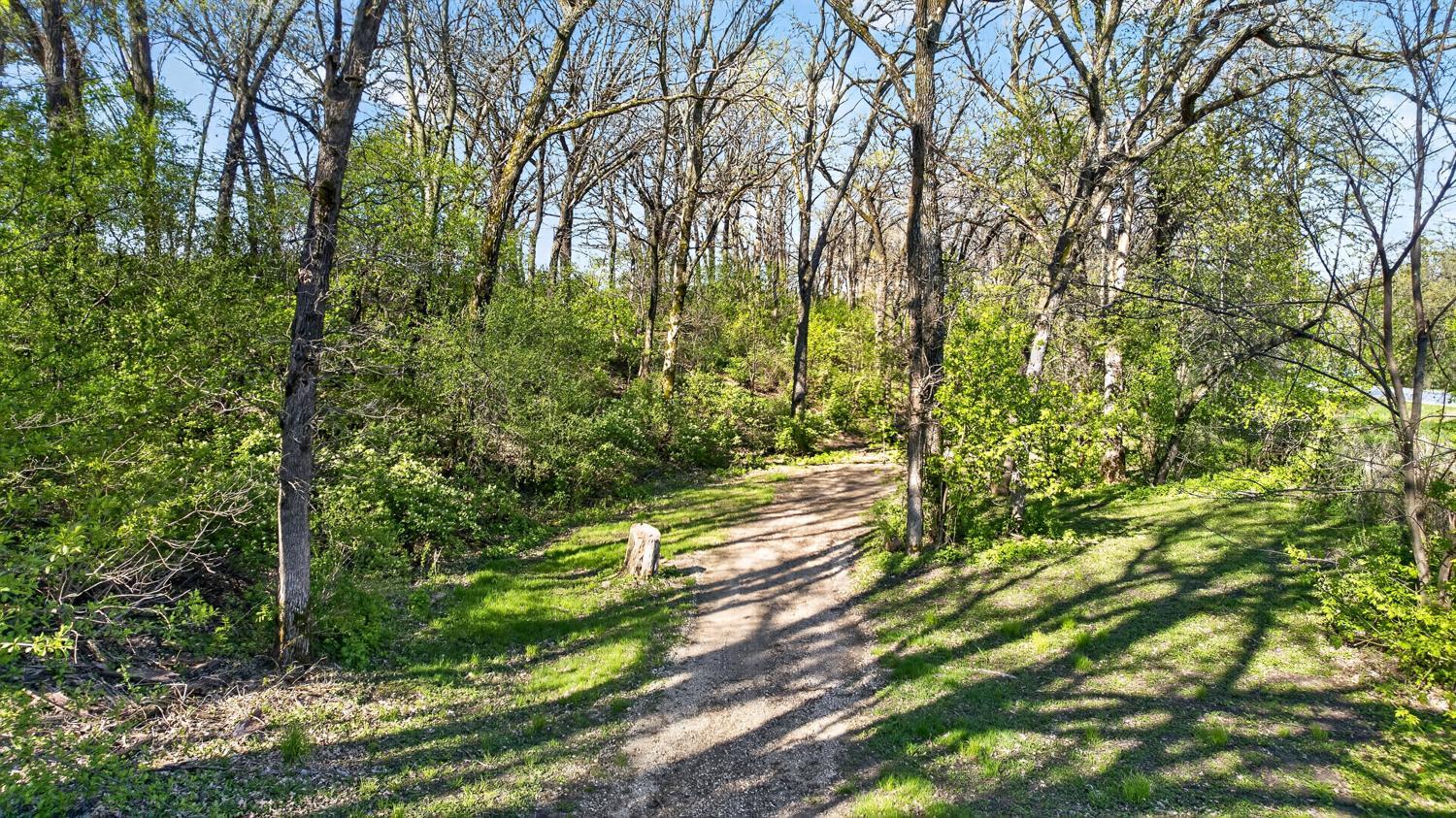 Trail