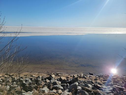 Shoreline/Lake of the Woods View