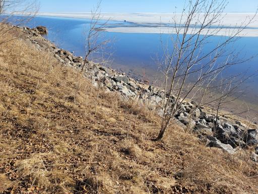 Shoreline