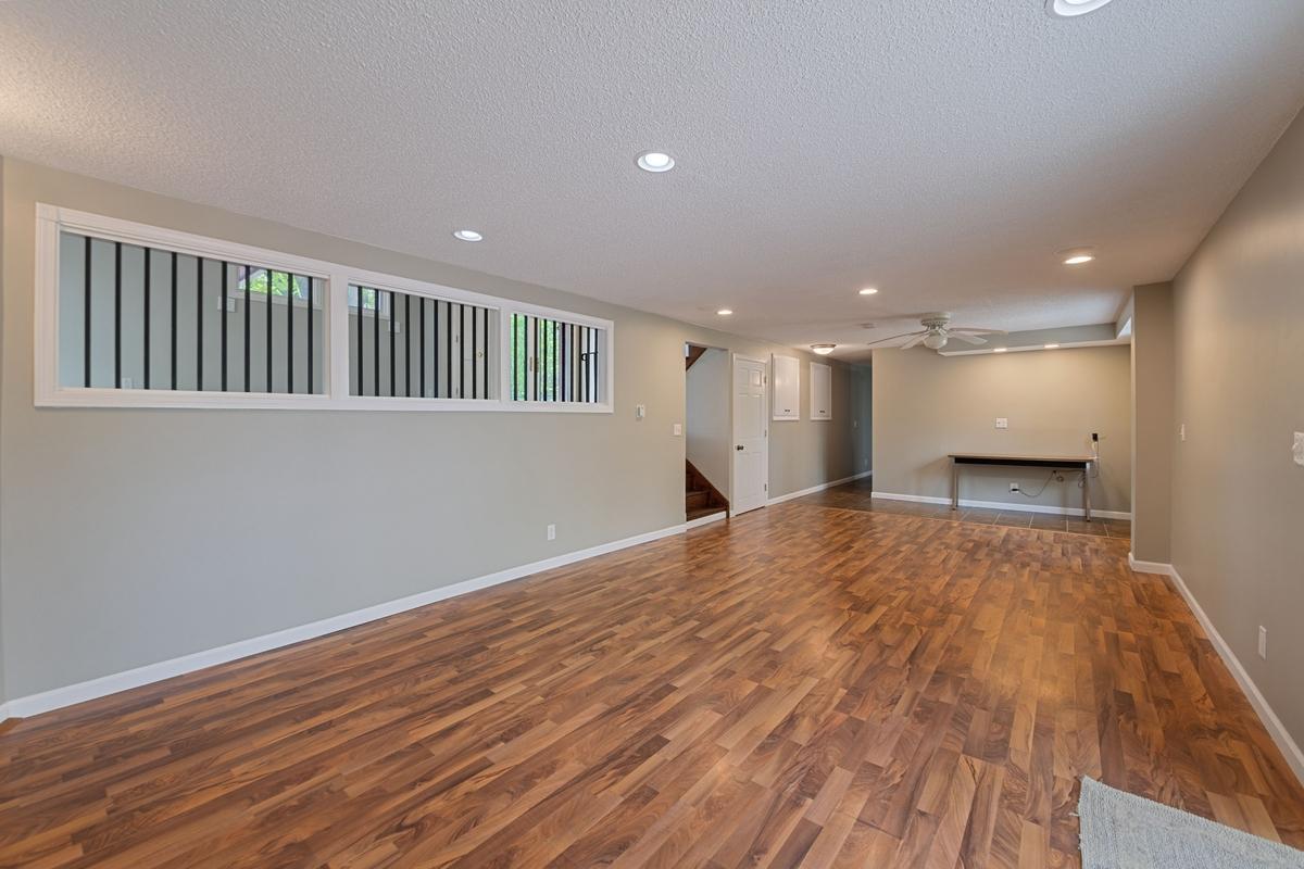 Lower level family room