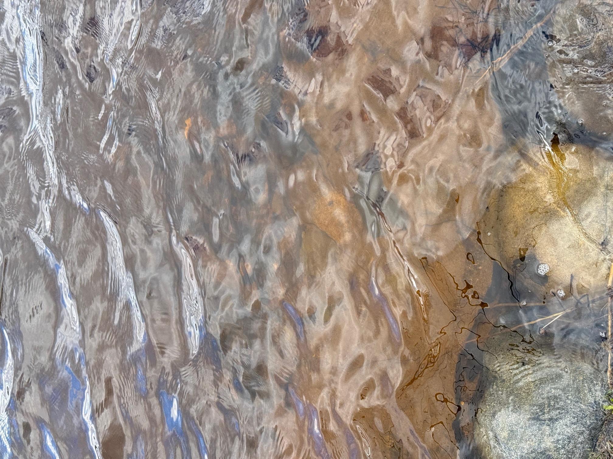 water clarity