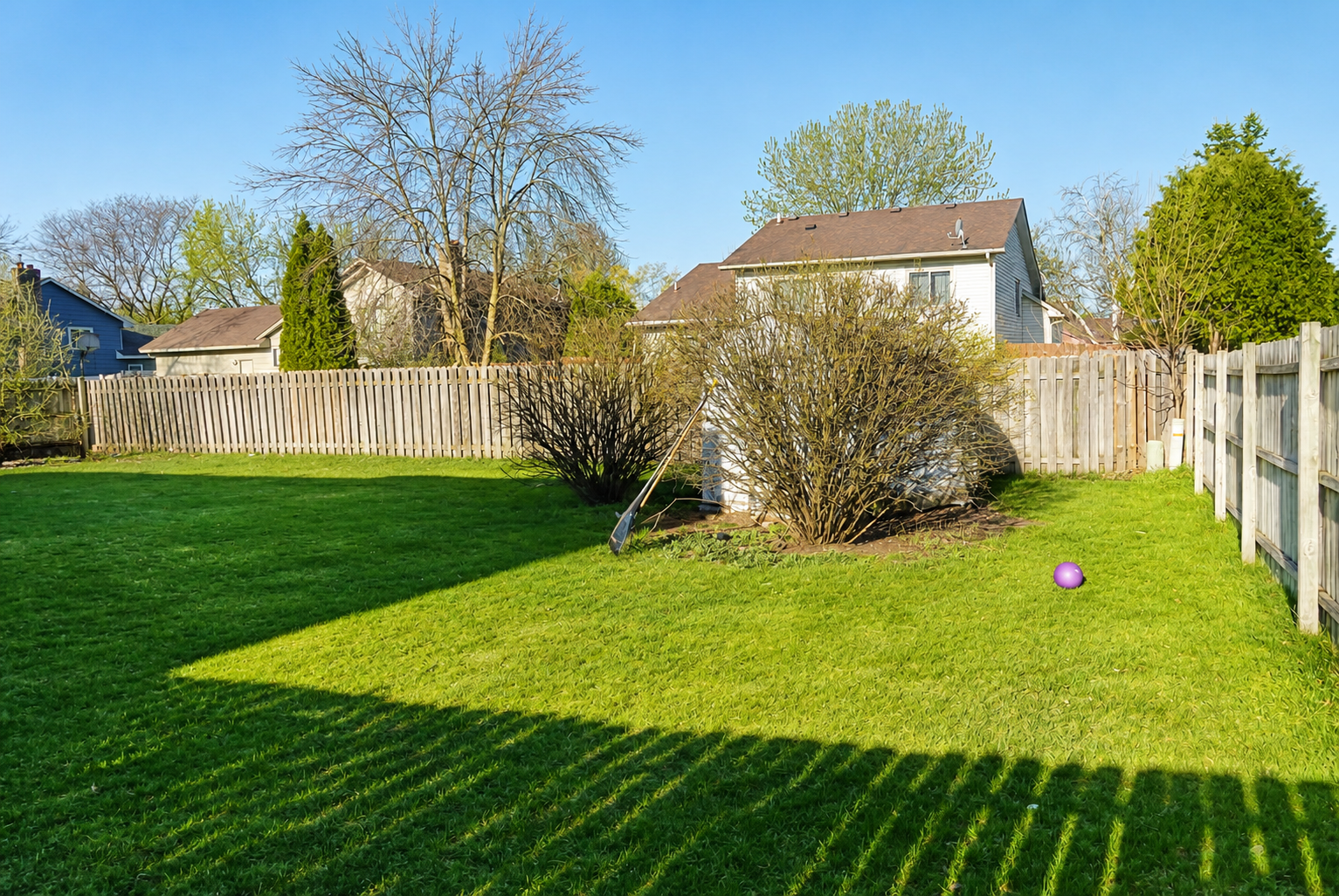 Backyard 2.png