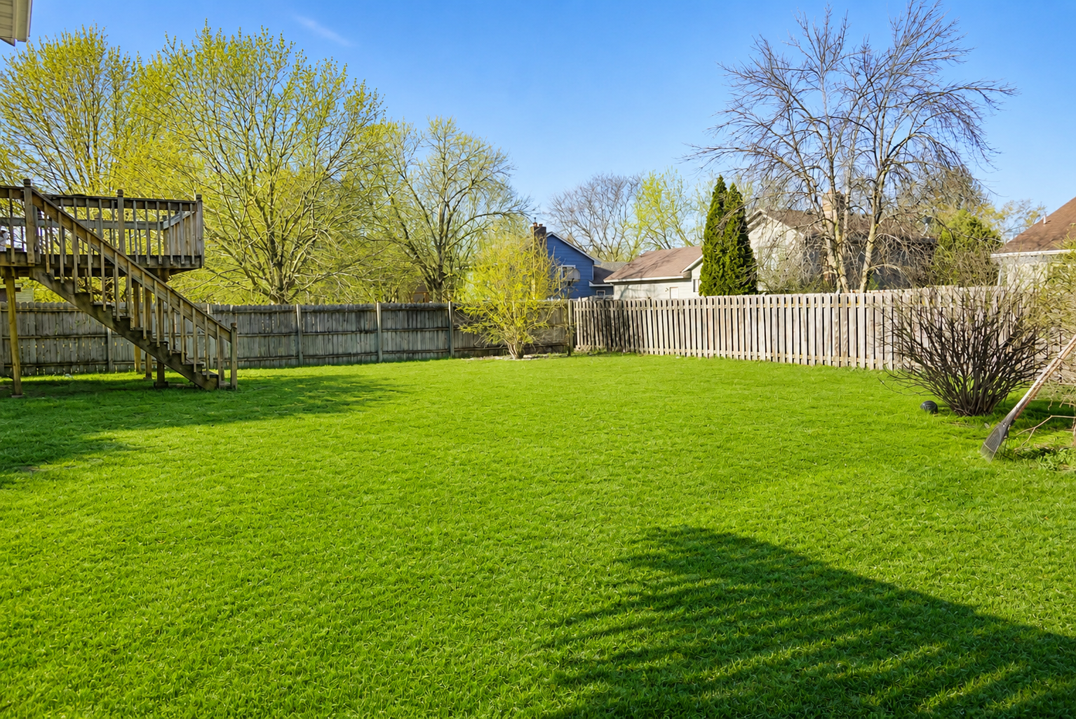 Backyard 1.png
