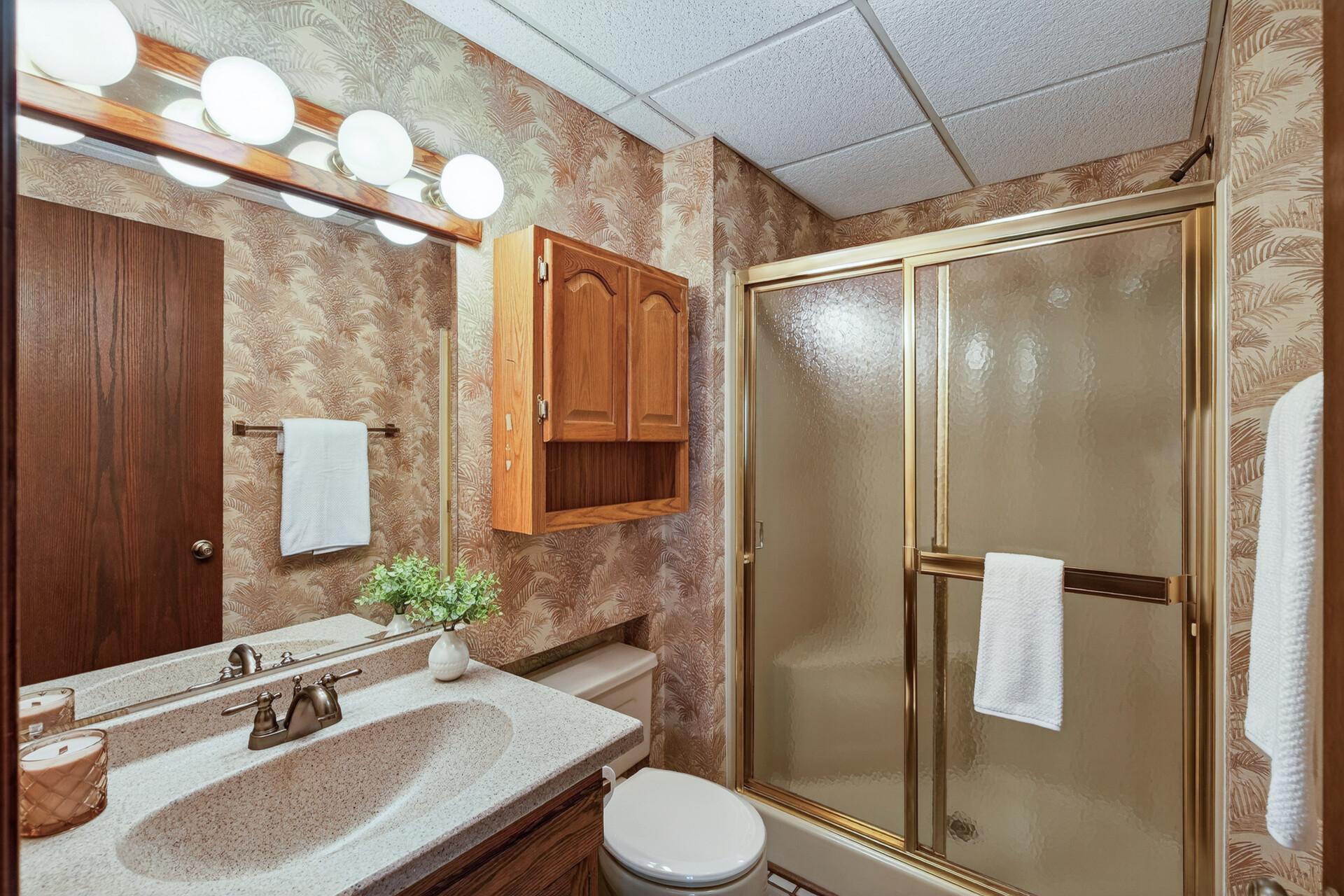 Lower level 3/4 bathroom