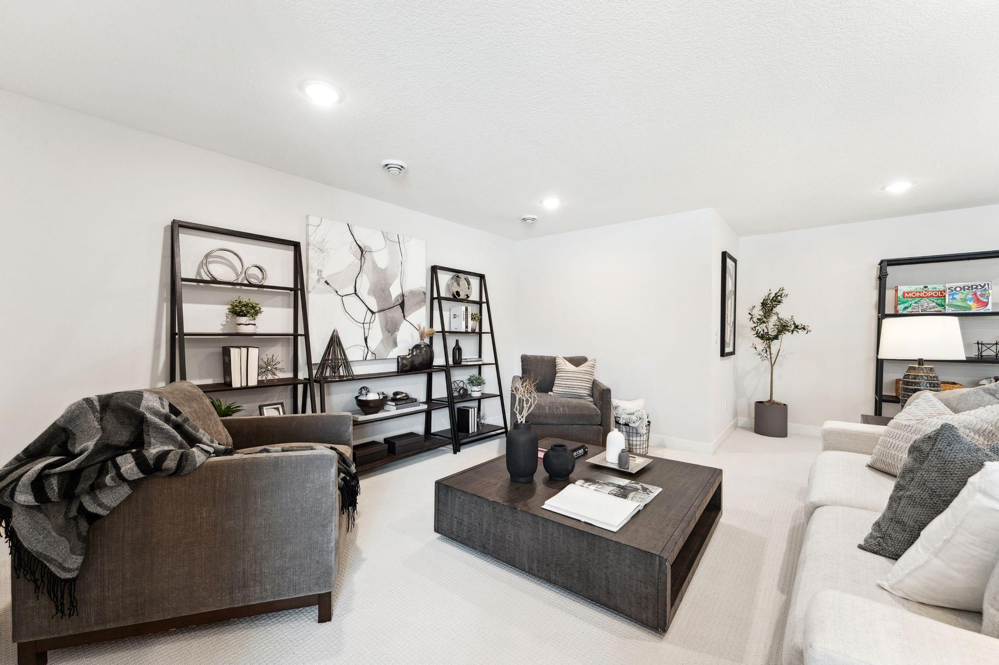 Basement Family Room