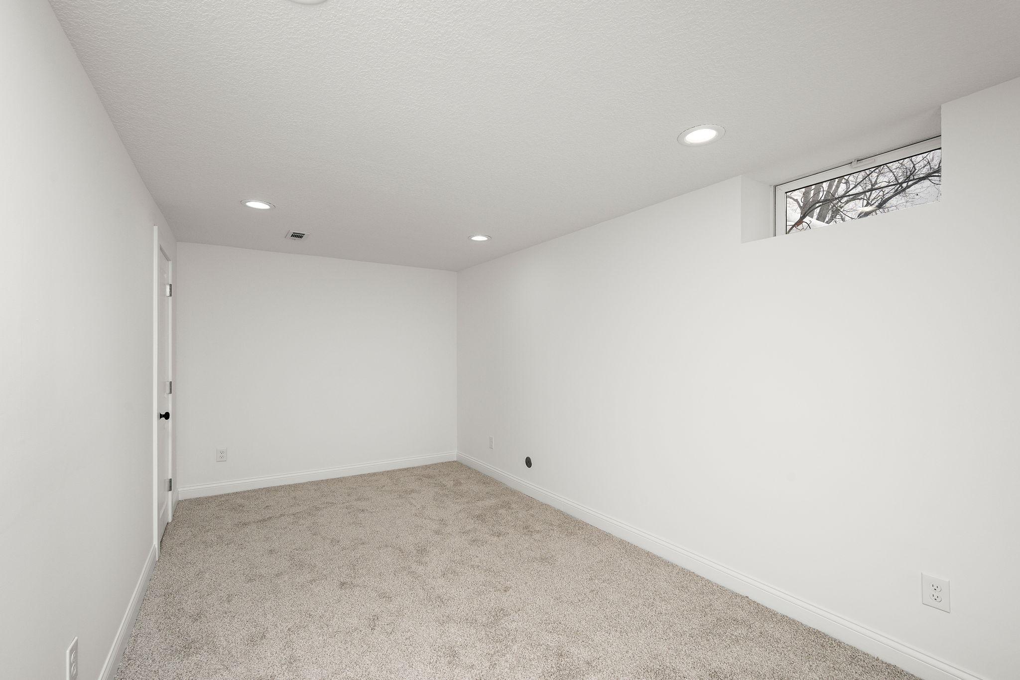 Lower level family room