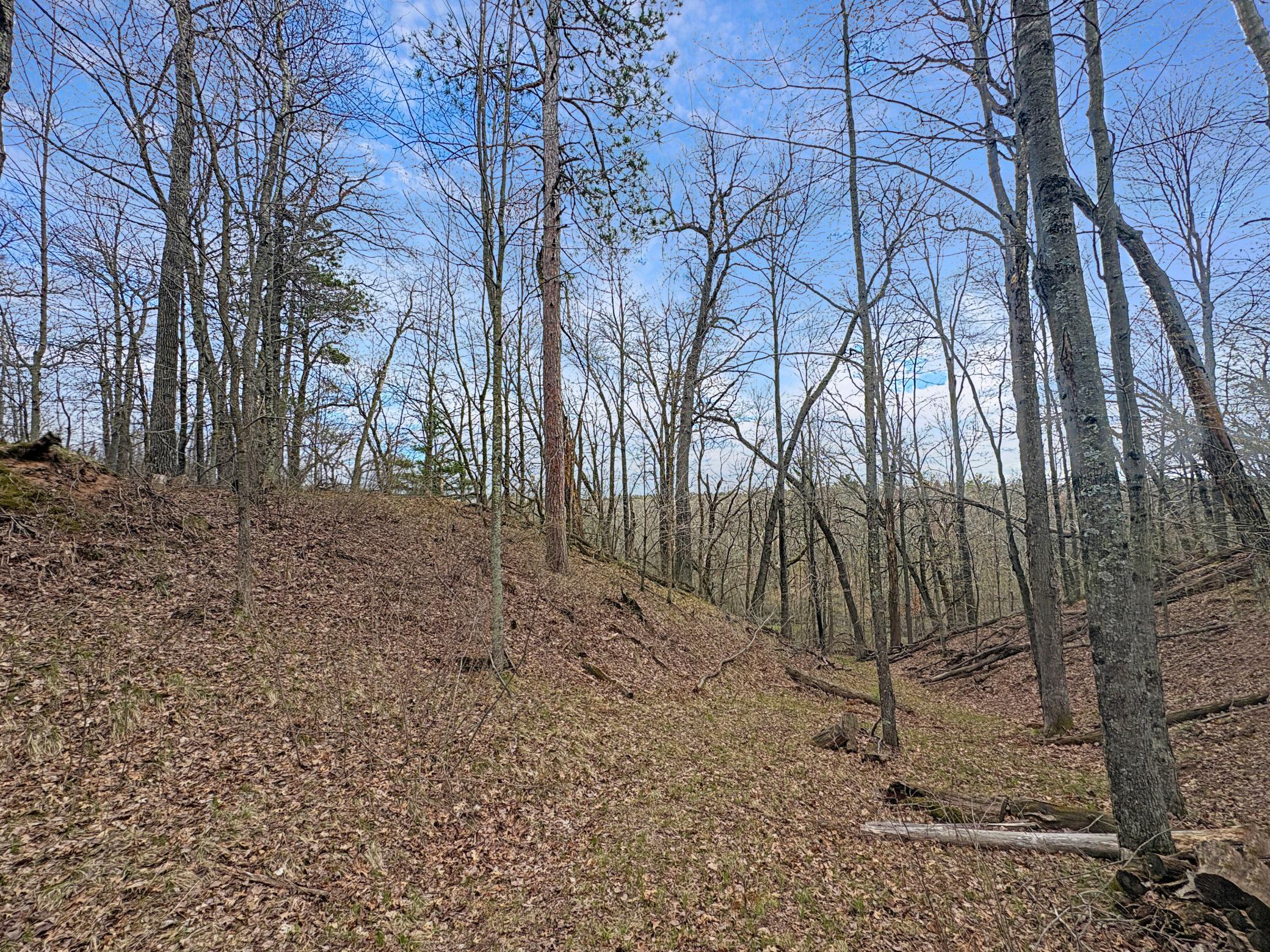 6025f6c53306f6712cae1a489cea2ca1fdf95f18.jpg