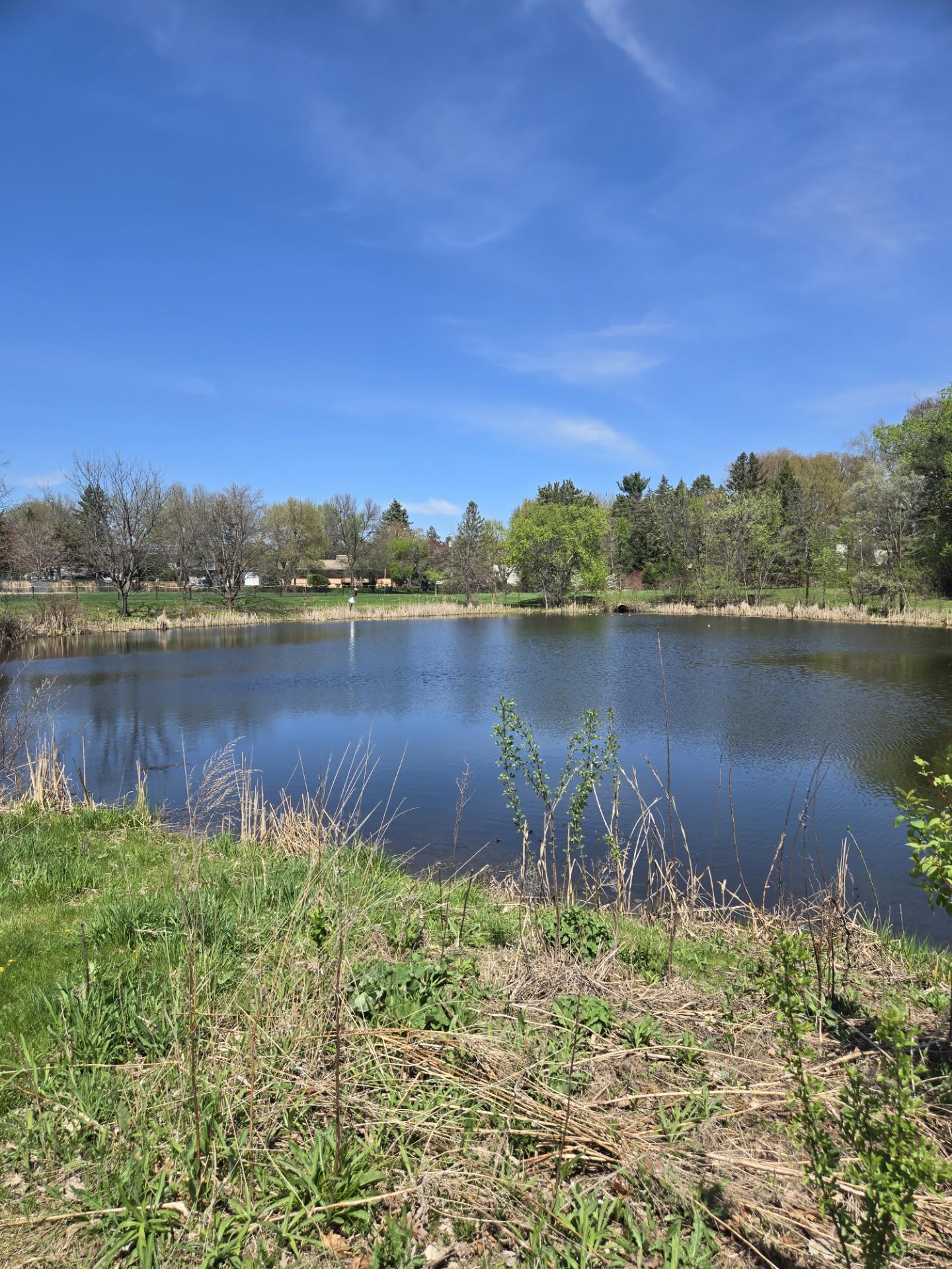 Nearby pond.