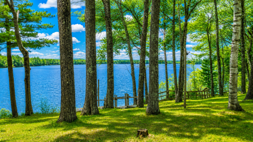 7042N Lake Shore Drive, Couderay, WI 54828