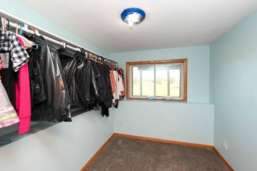 LL Bedroom 4 large walk-in closet w/window!