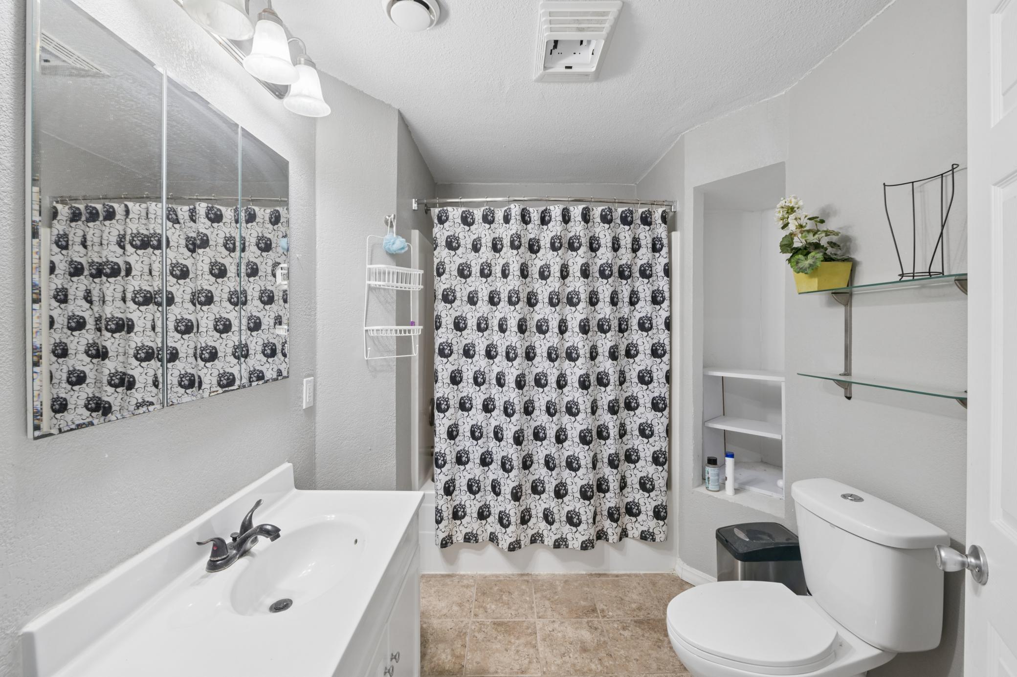 Lower level bathroom