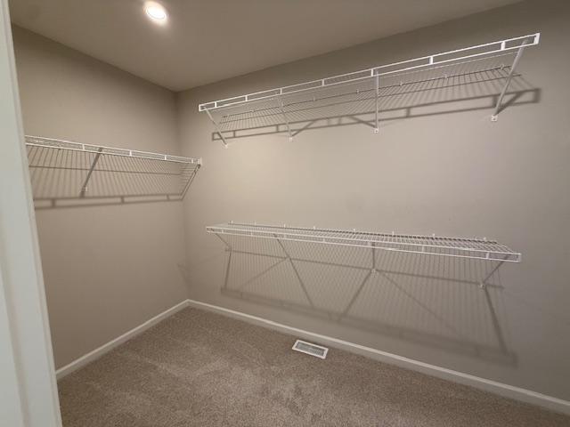 The primary suite features a large, walk-in closet!