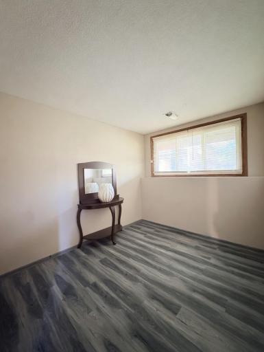 Bedroom 3 (lower level)