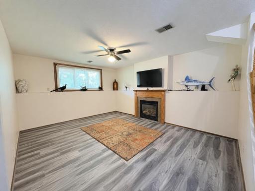 Family Room with gas fireplace (lower level)