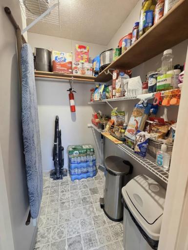 Walk-in Pantry (main level)