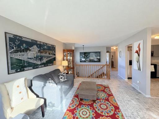 Living Room (main level)
