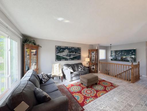 Living Room (main level)