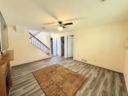 Family Room (lower level)