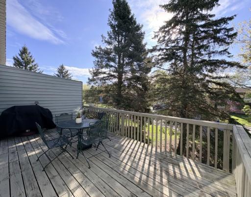 Private Deck (main level)