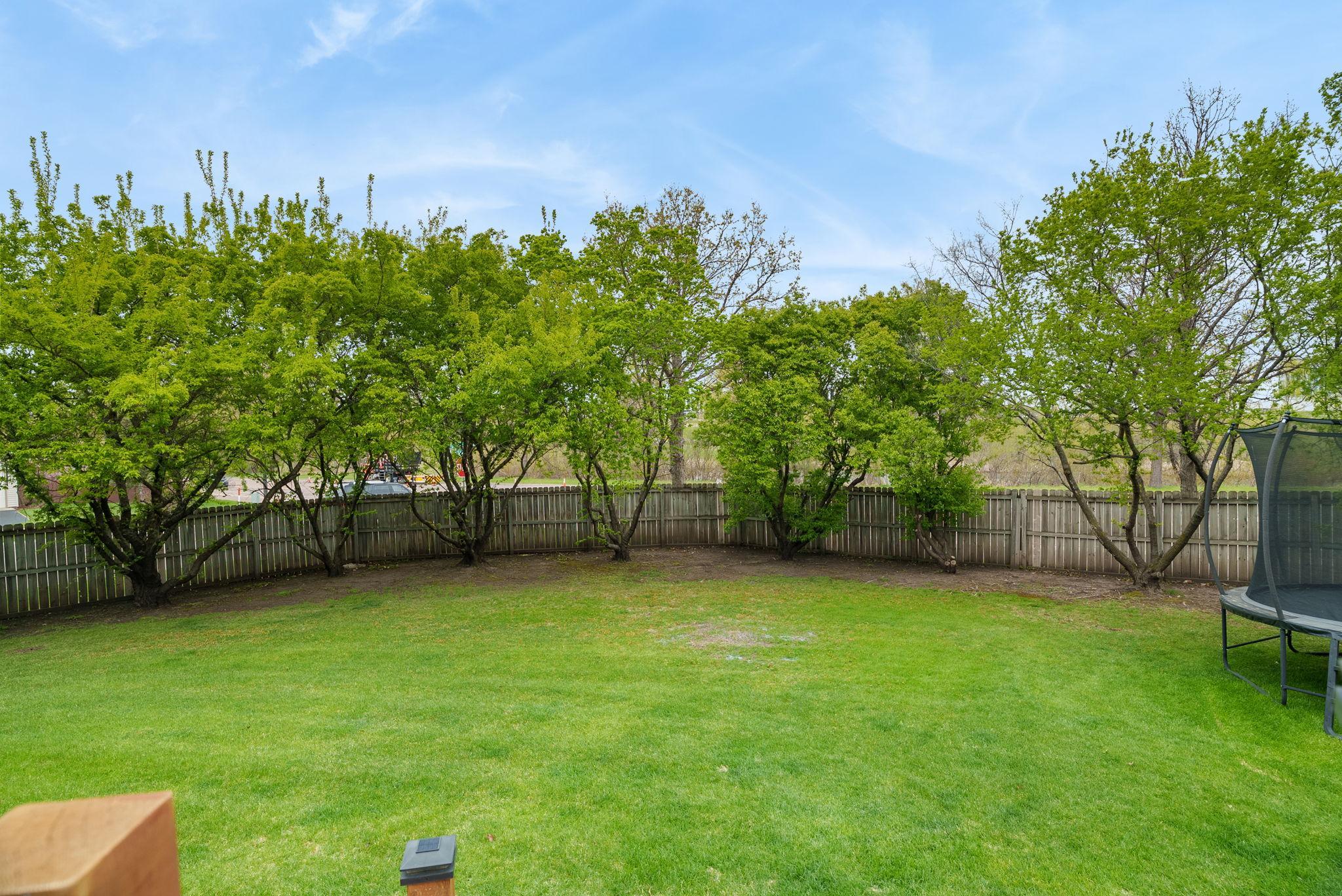 Fully fenced in back yard