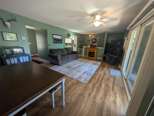 39115 E Blueberry Drive, Menahga, MN 56464