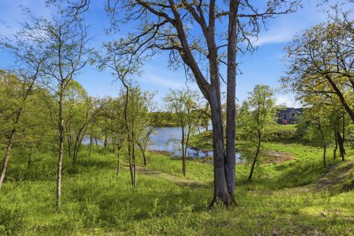 4725 Linden Cove Lane, Savage, MN 55378