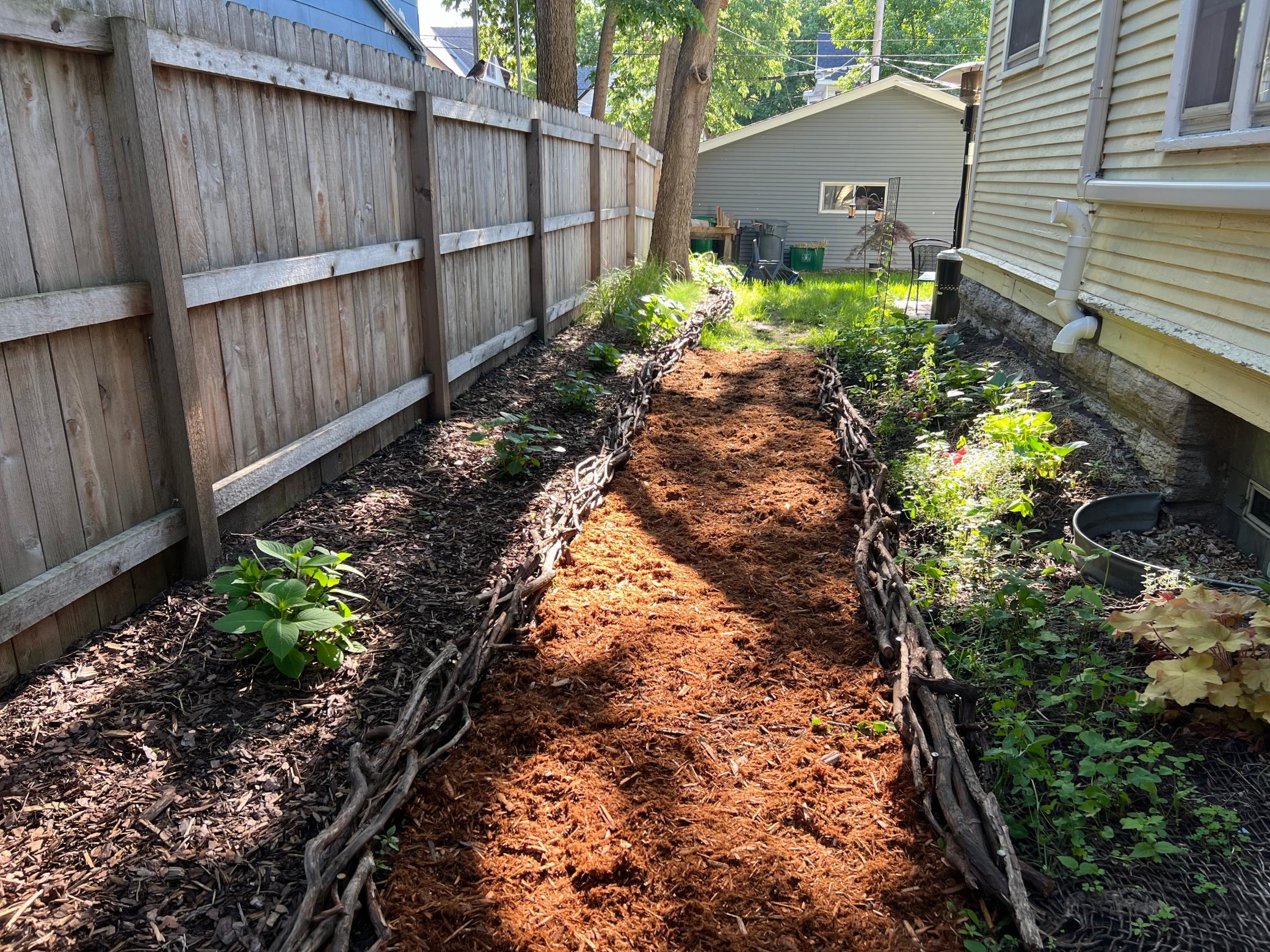 Side Yard Plantings