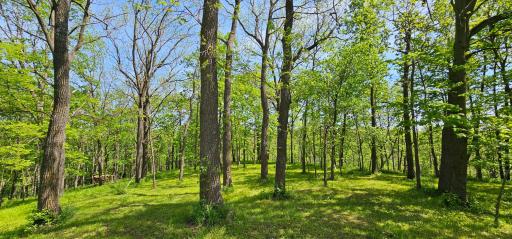 35423 Skyview Drive, Winona, MN 55987
