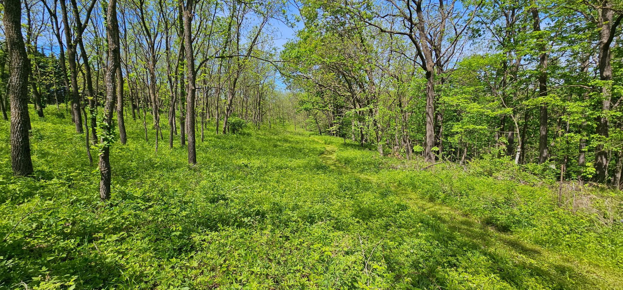 20260520_143021.jpg