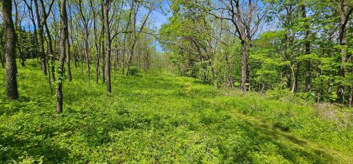 35423 Skyview Drive, Winona, MN 55987