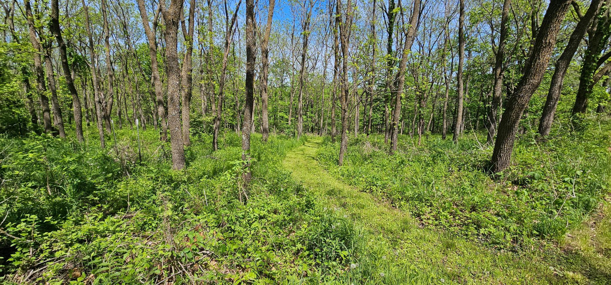 20260520_142920.jpg