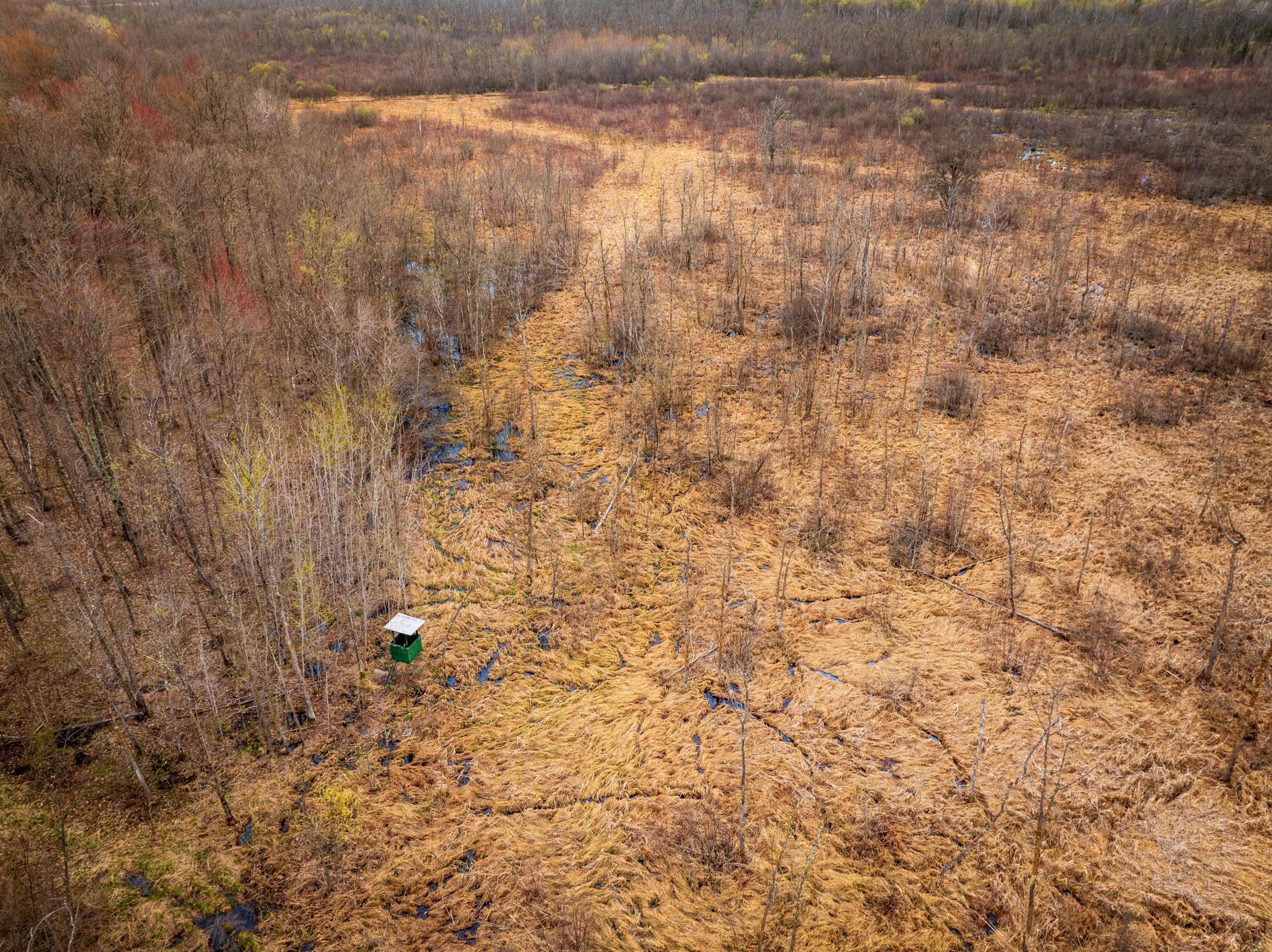 DJI_0784-HDR.jpg