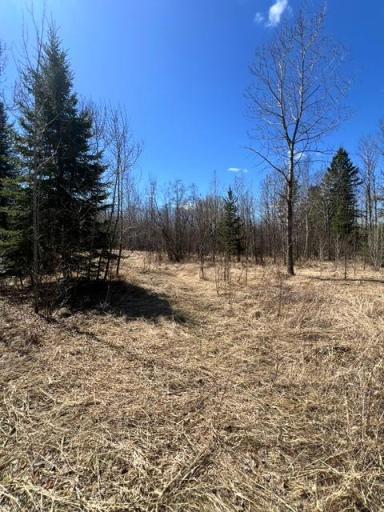 10354 County Road 553, Nashwauk, MN 55769