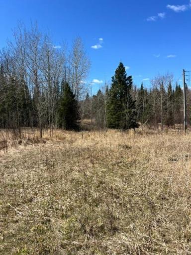 10354 County Road 553, Nashwauk, MN 55769